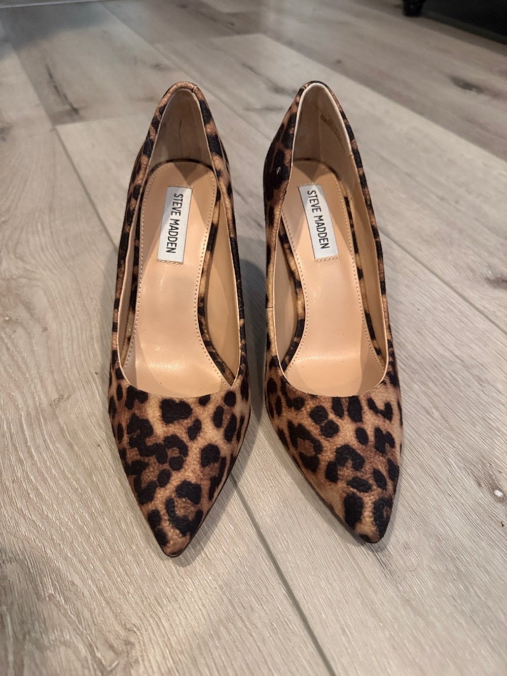 Steve Madden Leopard-Print Pointed-Toe Pumps - Brown & Black Size 7